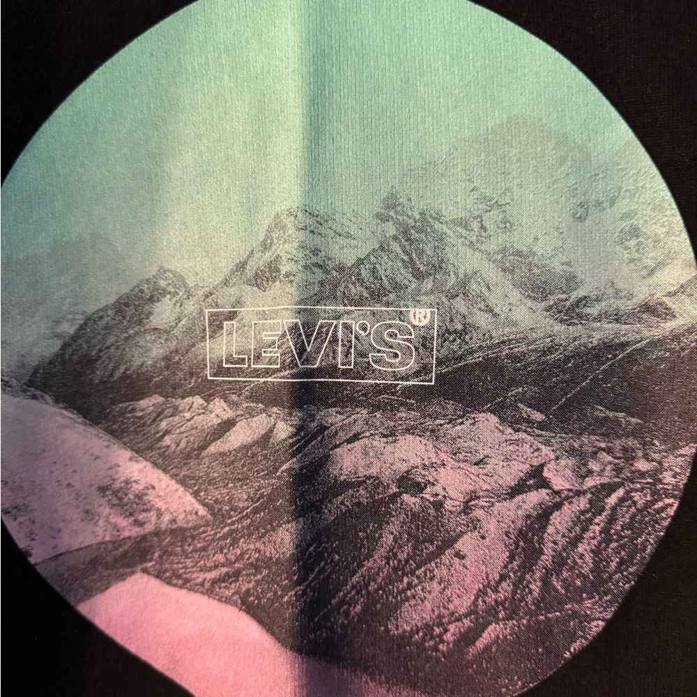 Levi’s hoodie - womens